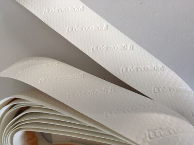 GİDON SARGISI BEYAZ CARBON NASTRO MANIBRIO